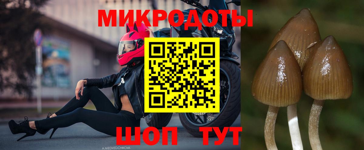 Псилоцибиновые грибы Magic Shrooms Химки